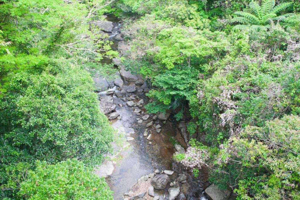 הוילה Ogimi 海と山と川！やんばるの大自然に囲まれた戸建ての宿 מראה חיצוני תמונה